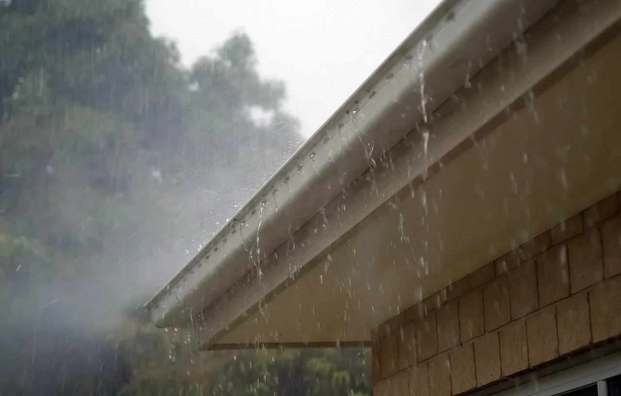 Storm conditions over a home roof where a fallen limb could cause damage